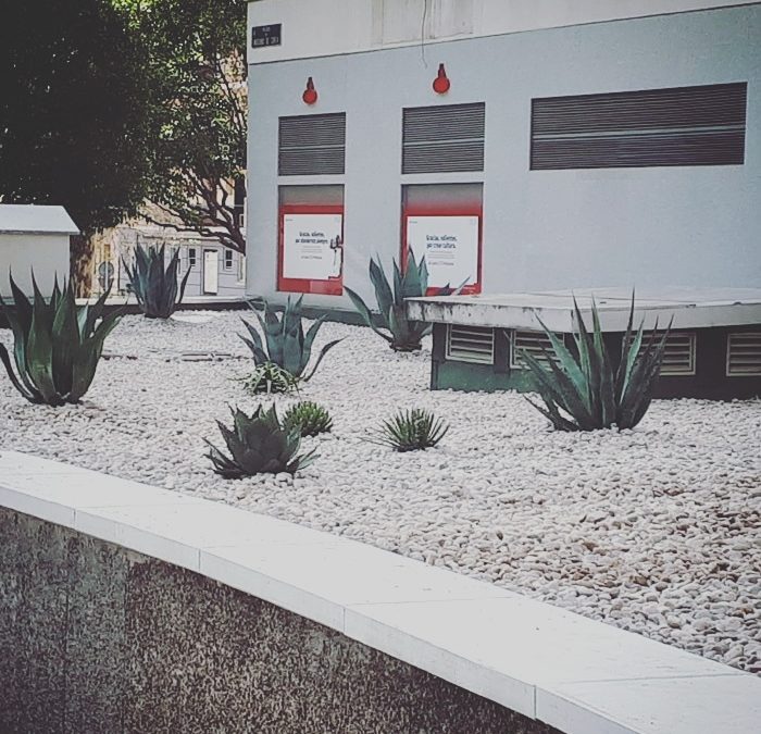 Obra ejecutada en exteridor sin sistema de riego
