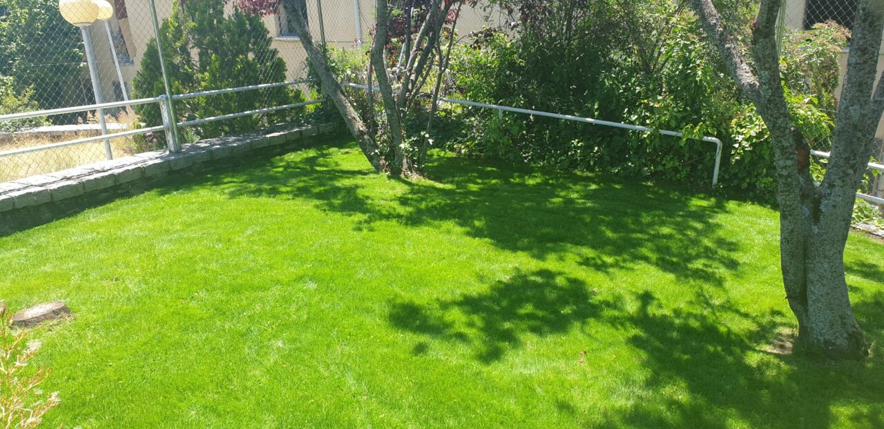 Jardinería integral, Césped, Desbroce, Plantación de arbolado, tala y poda