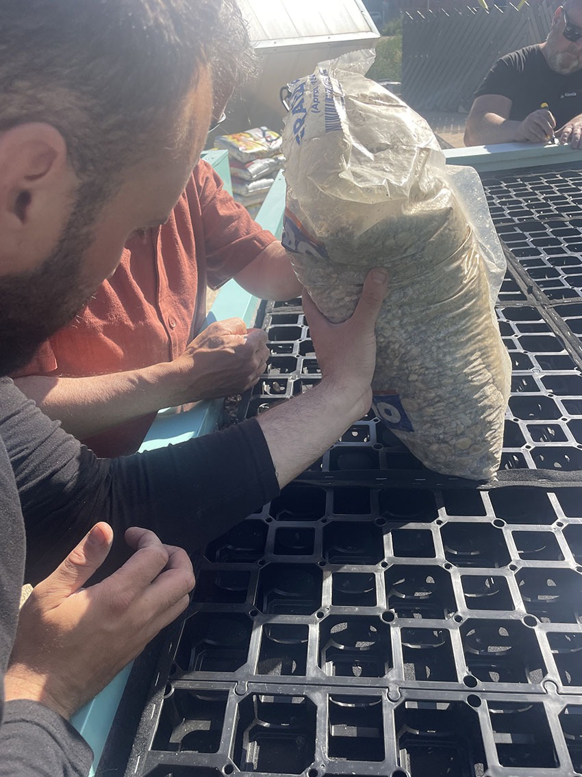 Colocación de áridos sobre drenaje Trabajadores vertiendo grava sobre sistema de drenaje en la base de una mesa de cultivo experimental.