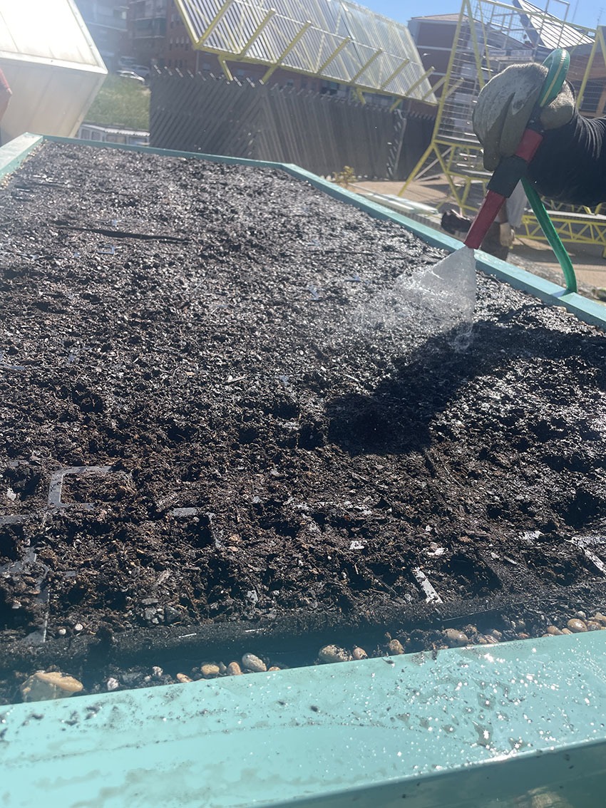Riego inicial del sustrato en mesa de cultivo Operario de Foret Servicios Integrales realizando el primer riego sobre el sustrato en una de las mesas de cultivo del laboratorio de cubiertas verdes.