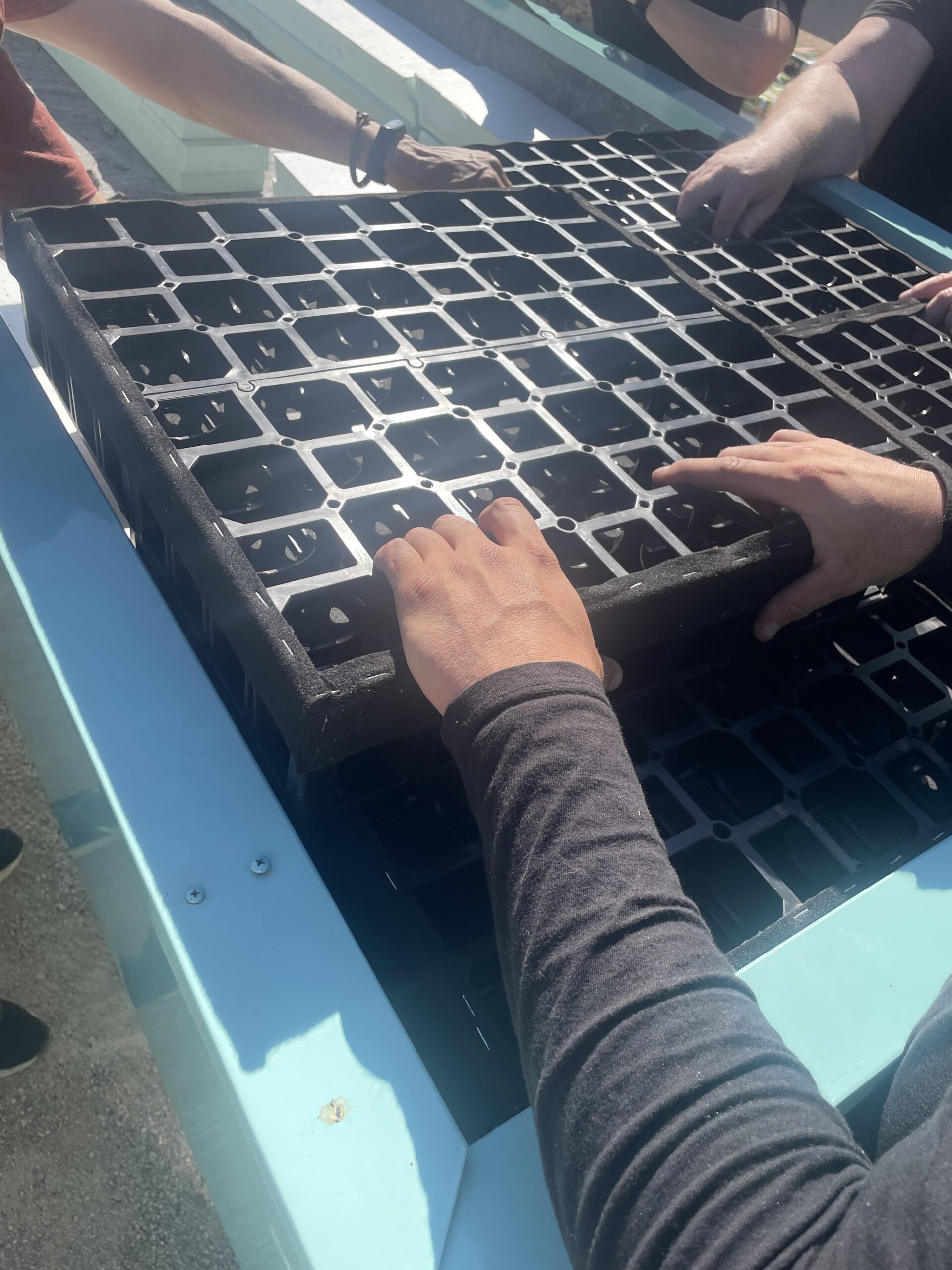 Colocación manual de módulo de drenaje ZinCo Trabajadores de Foret posicionando manualmente un módulo del sistema de drenaje ZinCo FLORADRAIN® en mesa de cultivo para cubierta vegetal.