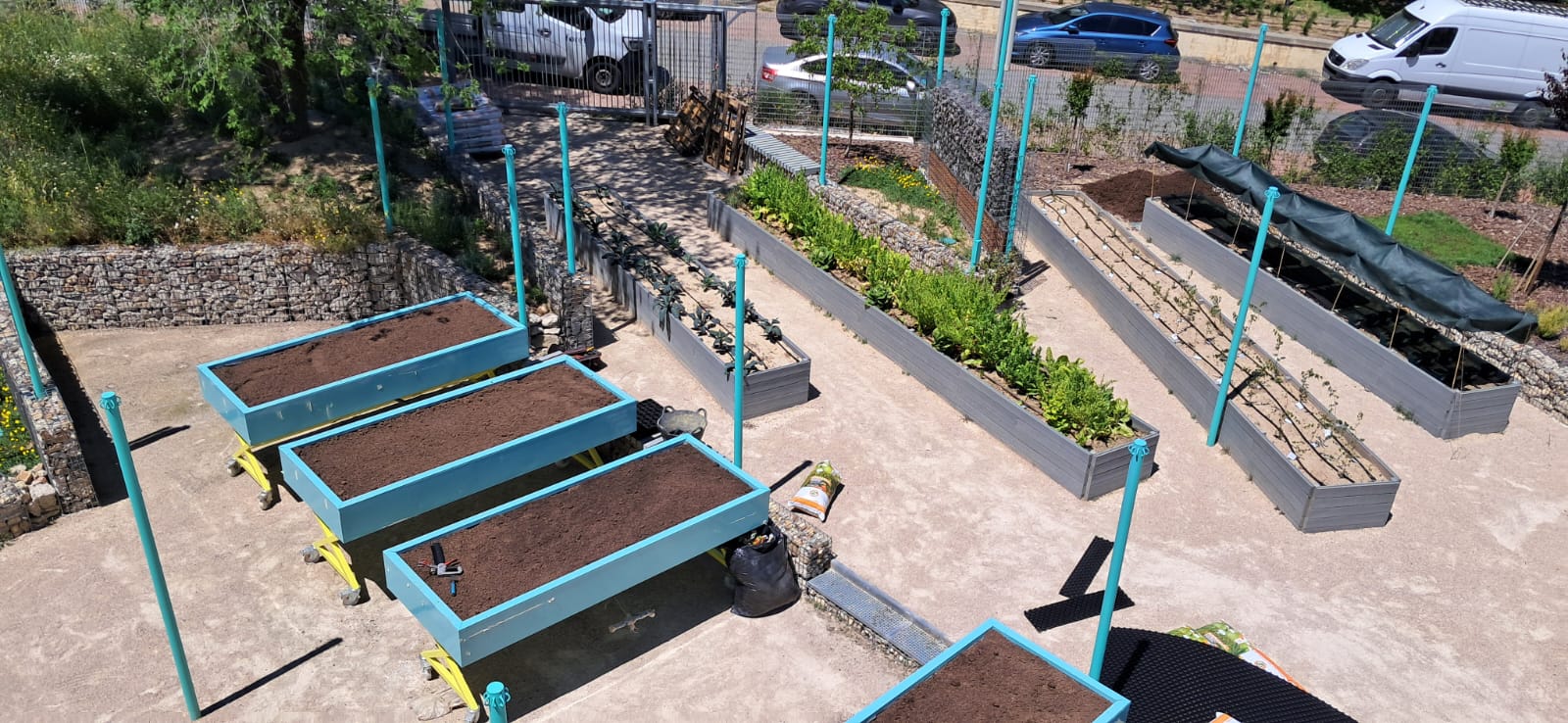 Mesas de cultivo listas junto al huerto urbano experimental Imagen panorámica de las mesas de cultivo instaladas por Foret junto a zonas de cultivo tradicional del laboratorio de economía circular en Madrid.